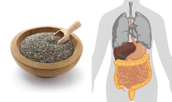 8 Most Powerful Health Benefits of Chia Seeds