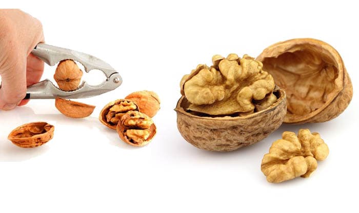 14 Health Reasons to Incorporate More Walnuts into Your Diet