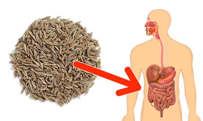 11 Spices and Herbs with Fantastic Health Benefits and Healing Properties