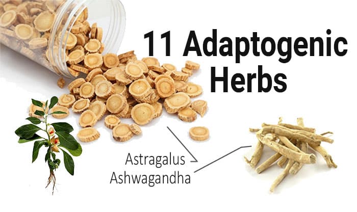 Adaptogens: Benefits, Sources, and Side Effects