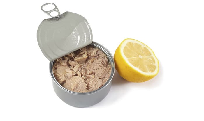 Discover the Best Health Benefits of Tuna Fish