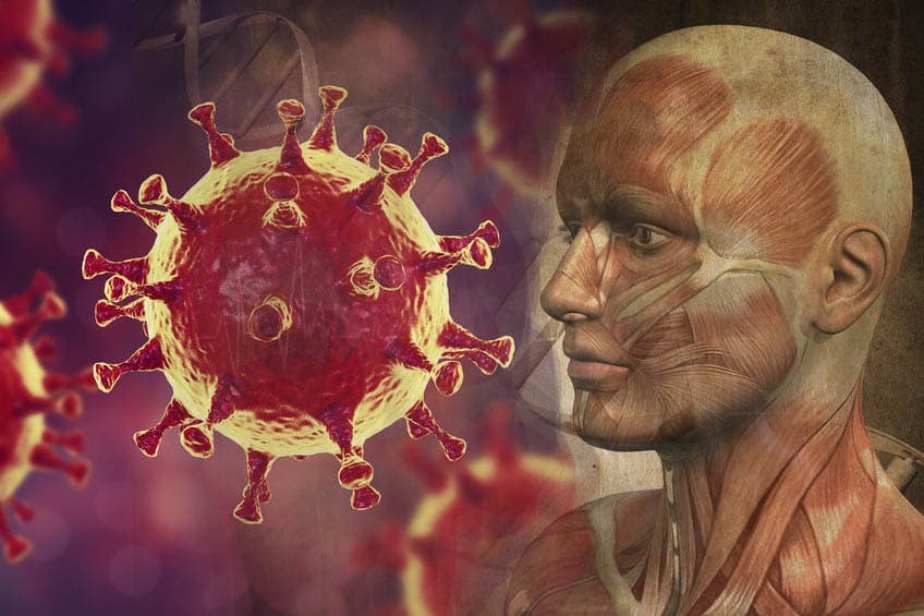 Fight The Coronavirus: Strengthen The Immune System