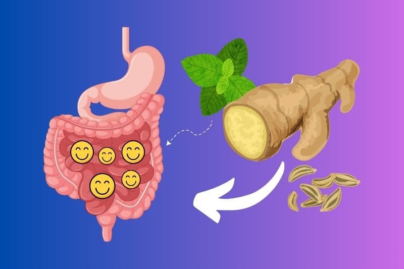 Your Belly Will Thank You! 7 Best Medicinal Plants for the Digestive System